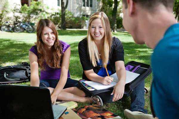 Studenti che studiano all'aperto — Foto Stock