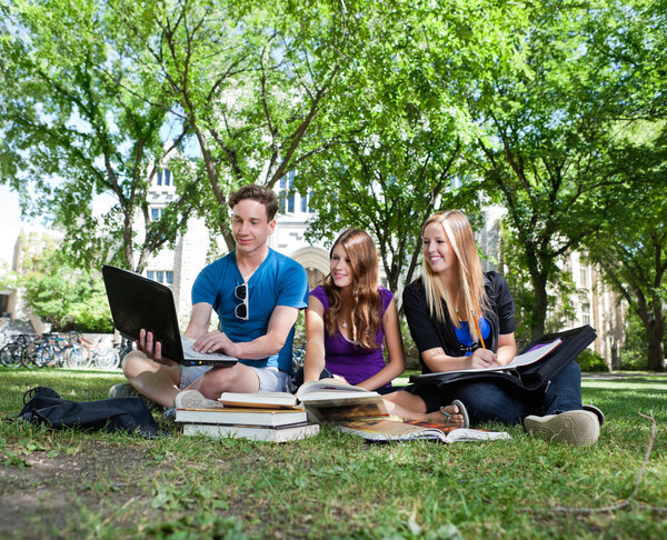 Teenagers studying on campus lawn