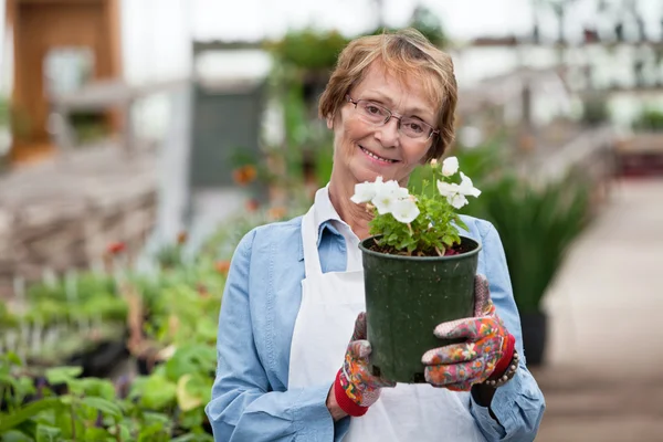 Äldre kvinna med blomkruka — Stockfoto