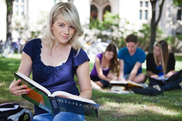 Studenti che studiano insieme — Foto Stock