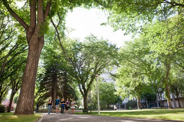 Groep van universitaire studenten wandelen op de campus — Stockfoto
