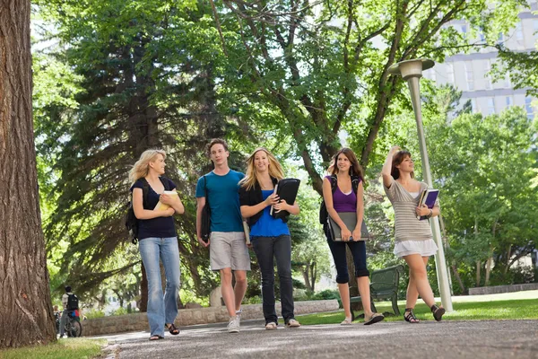 Estudantes universitários no campus Imagem De Stock