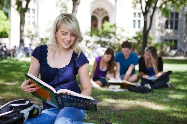 Estudantes lendo livros Fotografias De Stock Royalty-Free