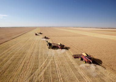 Four Combines in Field clipart