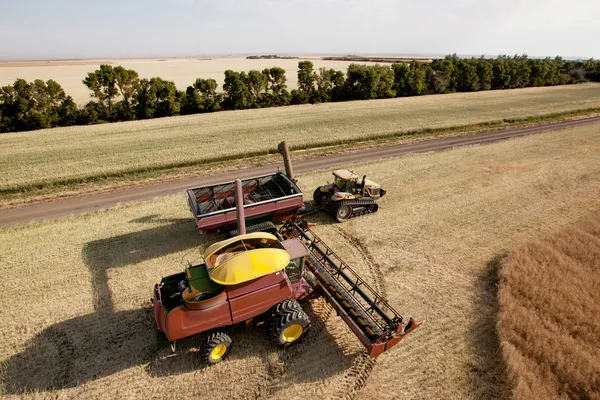 Erntemaschine mit Getreidewagen — Stockfoto