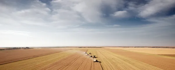 Harvest antenn landskap — Stockfoto