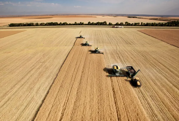 Вид с воздуха на урожай — стоковое фото