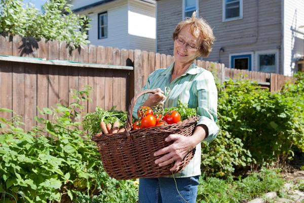 Senior vrouw met groenten uit de tuin — Stockfoto