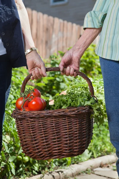 Panier d'exploitation femme rempli de légumes — Photo