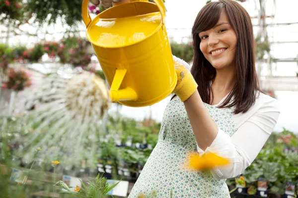 有吸引力的女性浇灌植物 — 图库照片