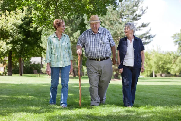 Amigos Seniores Caminhando no Parque — Fotografia de Stock