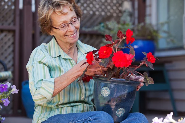 Woman looking at flower pot — Stock Photo, Image
