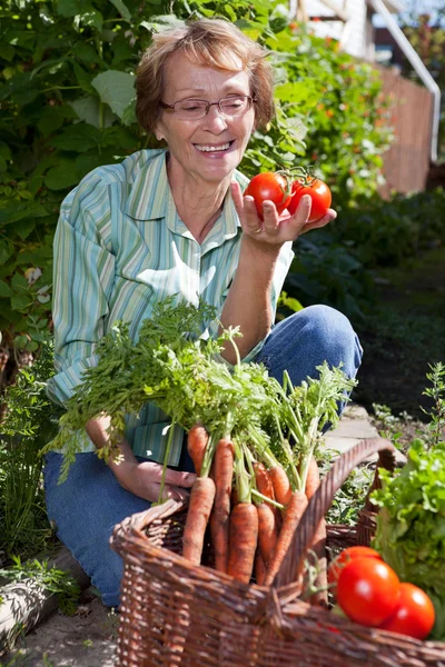Kvinna i trädgård picknig grönsaker — Stockfoto