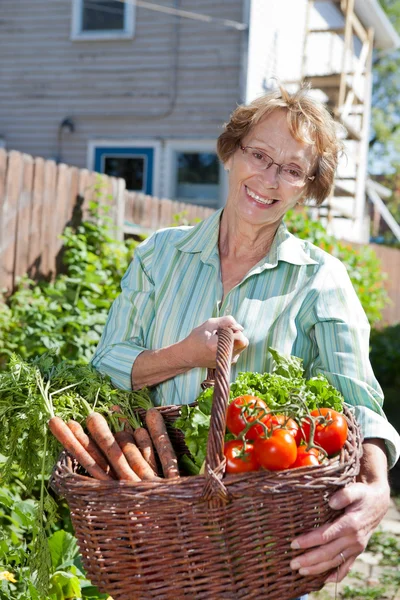 Seniors femme tenant panier plein de légumes — Photo