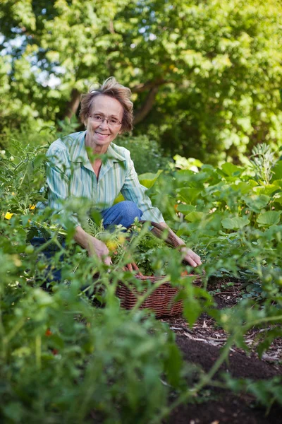 Donna anziana in giardino — Foto Stock