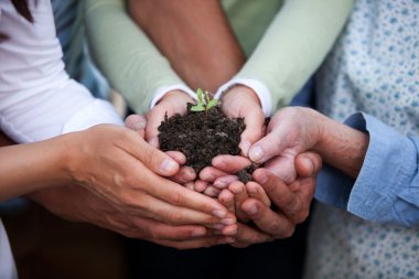 Hands Holding Plant clipart