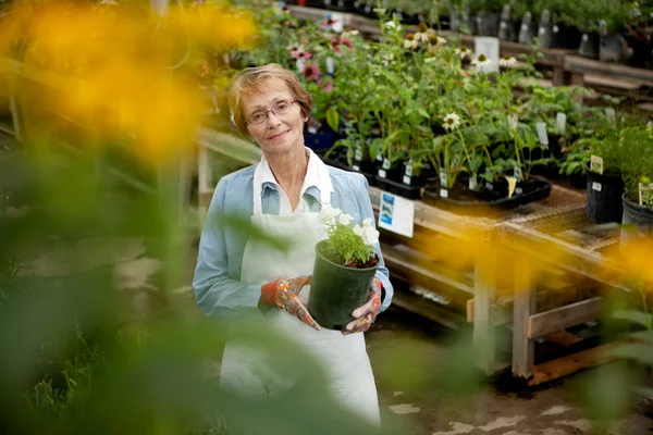 Trabajador Senior en Garden Center —  Fotos de Stock