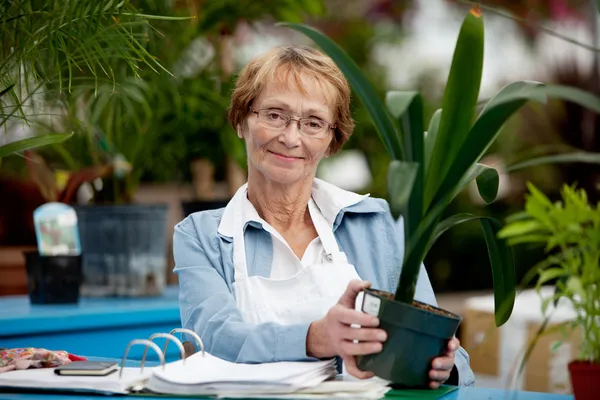 Senior Woman Working — Stockfoto
