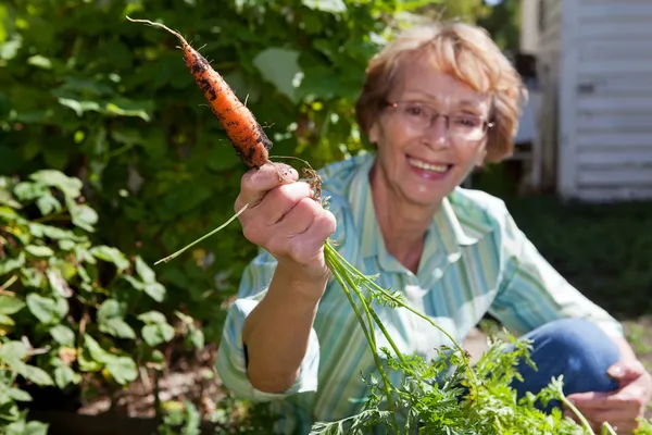 Senior woman holding carrot — Stock Photo, Image