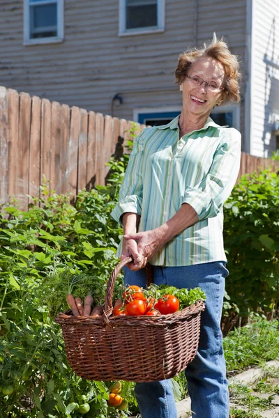 Ευτυχής ανώτερος γυναίκα με φρέσκα λαχανικά — Φωτογραφία Αρχείου
