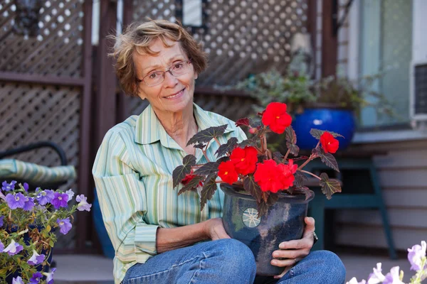 Donna anziana che tiene pianta in vaso — Foto Stock