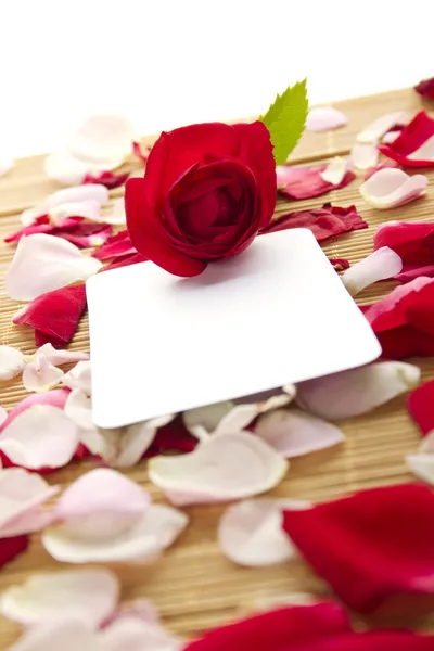 Tarjeta y rosas — Foto de Stock