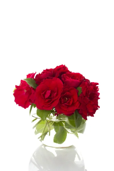 Kytice z rudých růží — Stock fotografie