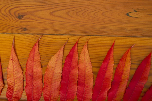 Деревянная поверхность с осенними листьями — стоковое фото