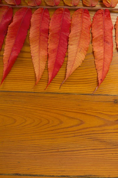 Деревянная поверхность с осенними листьями — стоковое фото