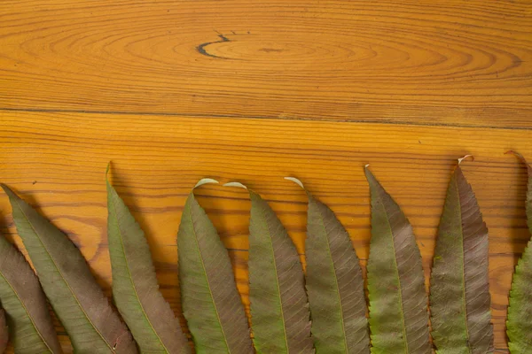 La superficie di legno con foglie di autunno — Foto Stock