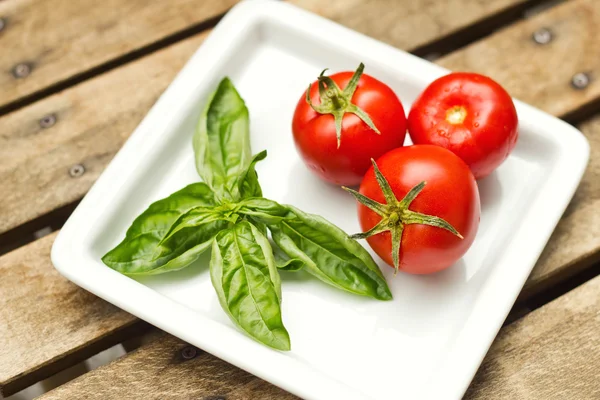 Tomates et basilic dans une assiette — Photo