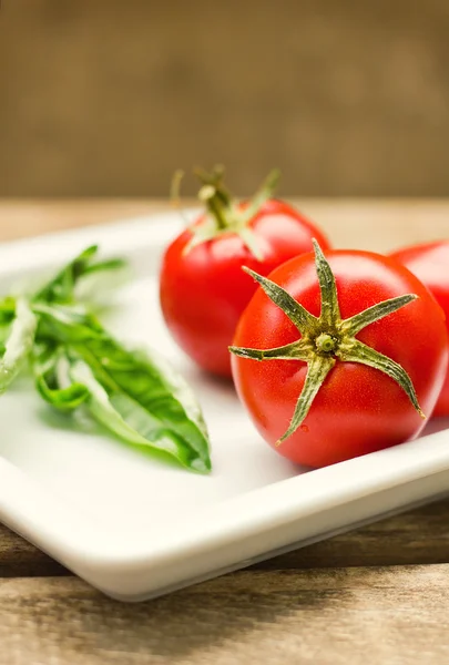トマトとバジルのプレート — ストック写真
