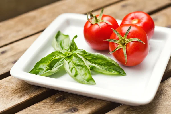 Tomatoes and basil on a plate — Stock Photo, Image