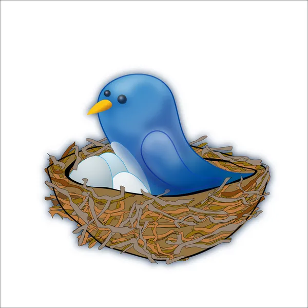 Blå fågel sitter i boet — Stockfoto