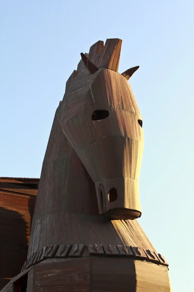 stock image Horse of Troia