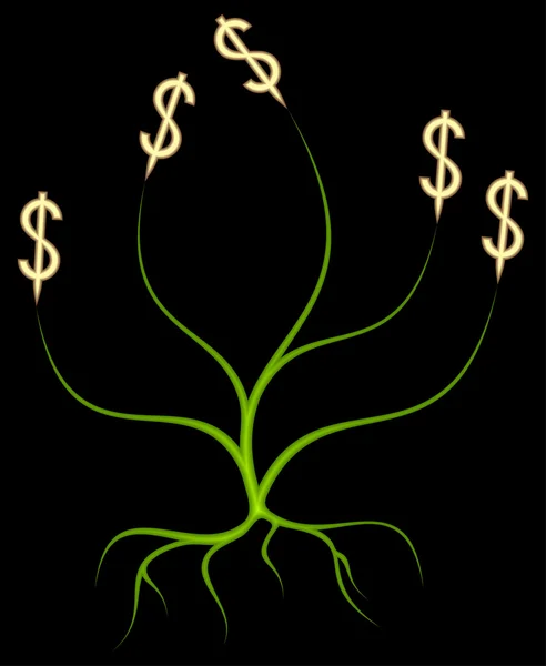 Money Tree. — Stock Vector