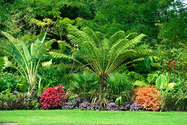 Gardens in park — Stock Photo, Image