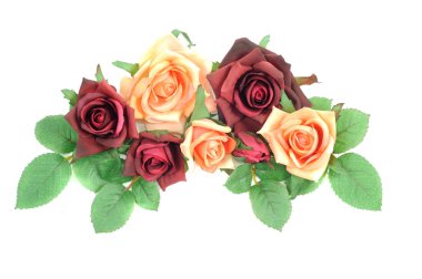 Red and yellow Roses clipart