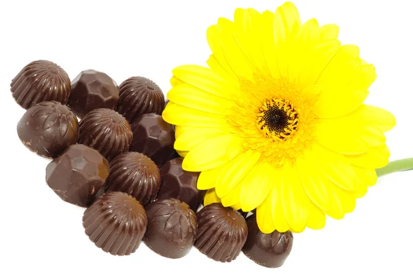 Gerber y chocolate — Foto de Stock