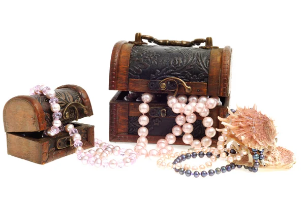 真珠アクセサリー — ストック写真