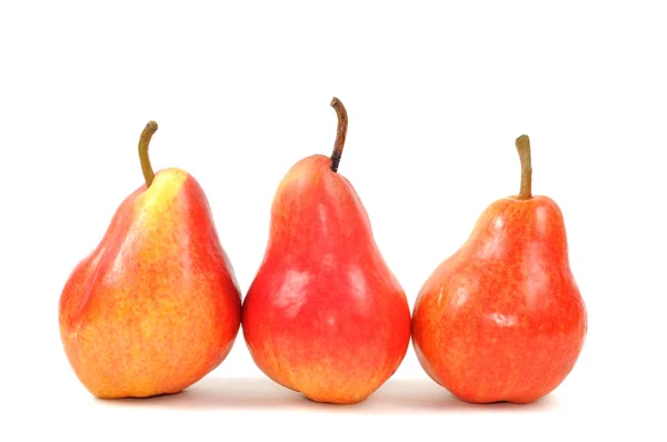 Träd röda päron — Stockfoto