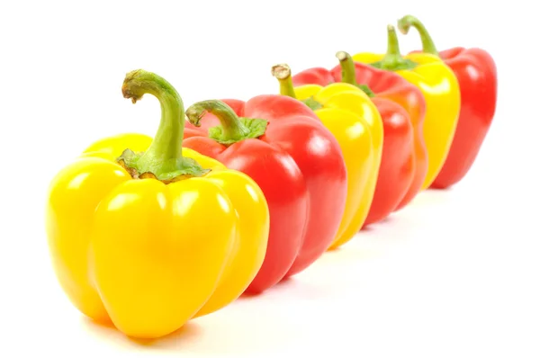 Paprika papriky — Stock fotografie