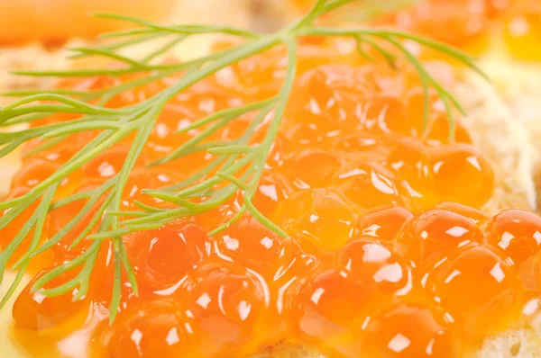 Kırmızı coviar — Stok fotoğraf