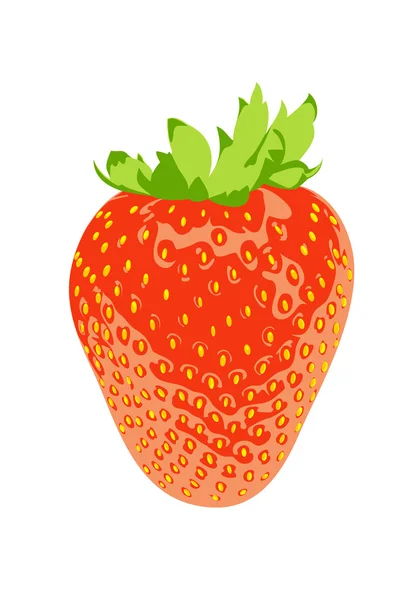 Vektor-Erdbeere — Stockvektor