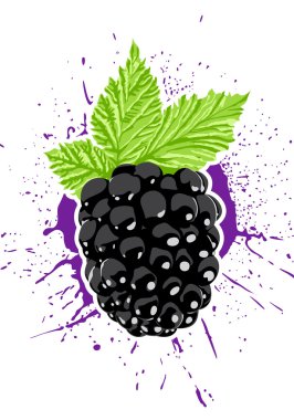 Vector berry clipart