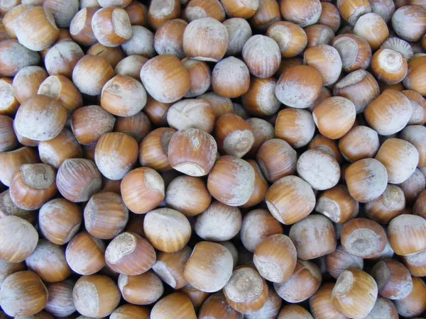 Hazelnuts for sale — Stock Photo, Image