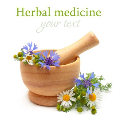 Herbal medicine and treatment clipart