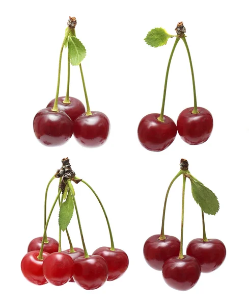 Cherry isolated on white background - set — Stock Photo, Image