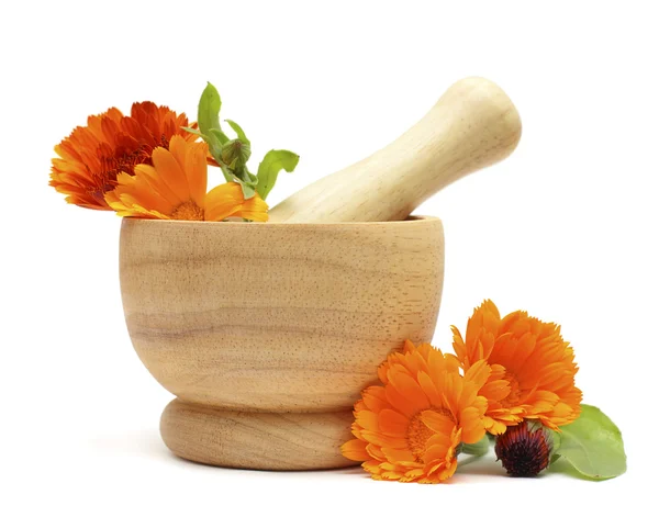 Alternative medicine and herbal treatment - Calendula flowers — Stock Photo, Image