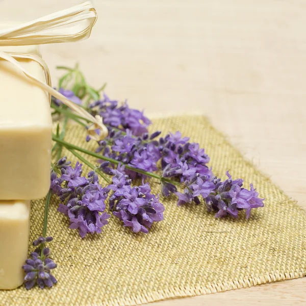 Lavender and bath soap — Stock Photo, Image